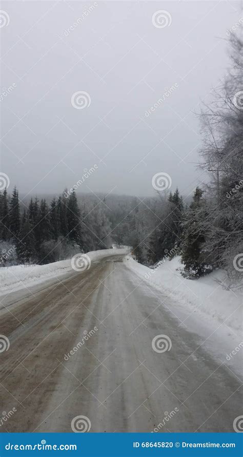 Winter way stock photo. Image of winter, trees, quebec - 68645820