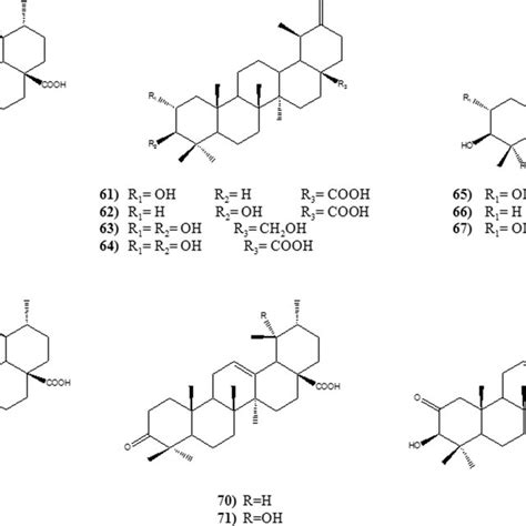 Main Biological activities of triterpenes and saponins isolated from... | Download Scientific ...