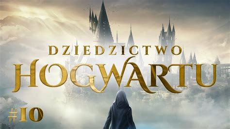 Zagrajmy W Dziedzictwo Hogwartu K Pl Poszukiwanie Brakuj Cych