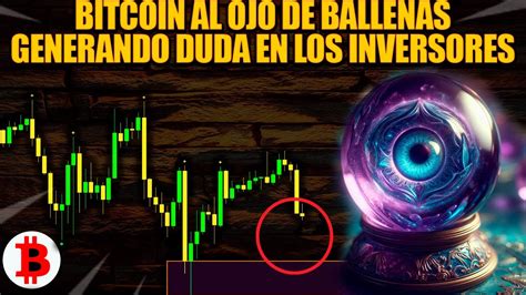 Bitcoin Al Ojo De Ballenas Generando Dudas Pronostico Bitcoin Hoy