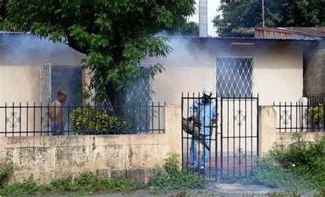 Ministerio De Salud Garantiza Jornadas De Fumigación Para Prevenir