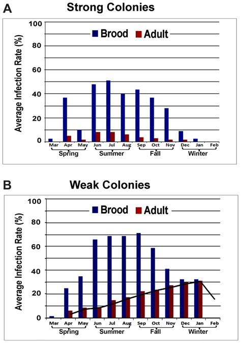 Average Prevalence Of Iapv Infection In A Single Month A Strong