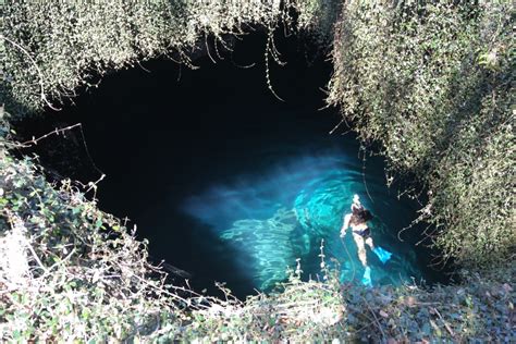 Two Must See Springs In North West Central Florida Devils Den And