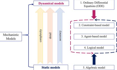 Schematic Representation Of The Main Types Of Mechanistic Models