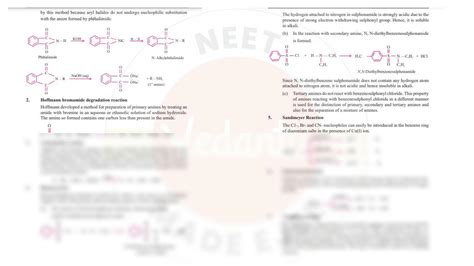 Solution Amines Notes Studypool