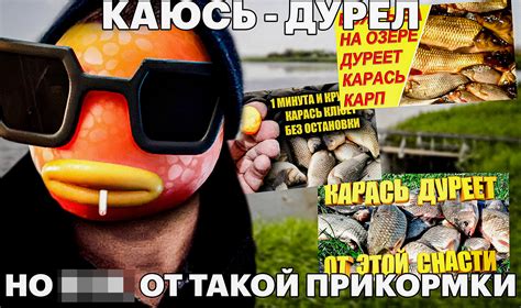 Карась дуреет от этого прикорма: что за мем и откуда он взялся