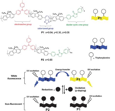 Scheme 1 Chemical Structures Of P1 And P2 And A Schematic Illustration