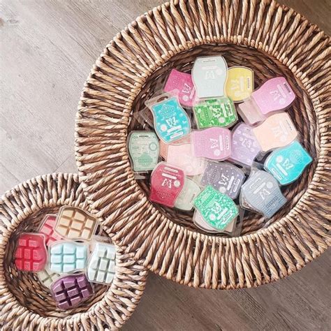 Scented Wax Melts And Candle Cubes Scentsy Bars Scentsy Wax Bars Scentsy Scentsy Bars