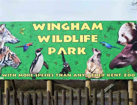 Engaging Wonders of Wingham Wildlife Park UK 2024