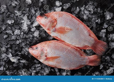 Dos Pescados Rojos Crudos De La Tilapia En El Hielo Foto De Archivo