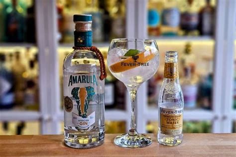 Gin Og Tonic Med Amarula African Gin Alt Om Gin