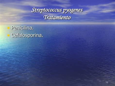 Streptococcus Pyogenes Ppt