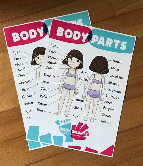 Body Parts Anatomy Sex Ed Private Parts Poster Printables