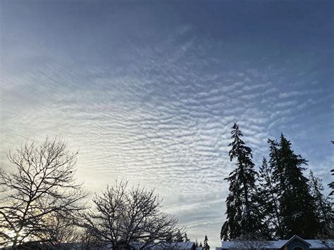 Altocumulus Stratiformis Undulatus Prairie Harry Flickr