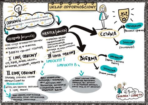 Klasa 7 Biologia Układ odpornościowy sketchnotka Złoty nauczyciel