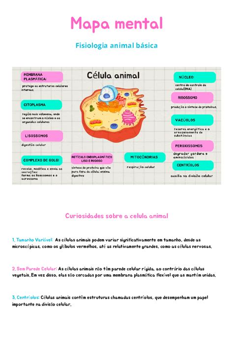 Mapa Mental Celula Animal - Celula Animal Mapa Mental - FDPLEARN