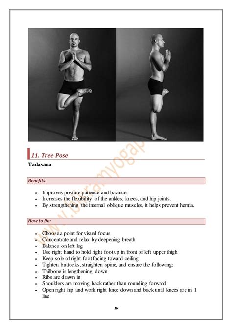 Get Detailed Guide Of 26 Bikram Yoga Poses And Benefits