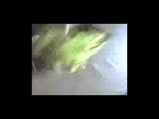 Aunty Dress Change Free Xxx Tubes Look Excite And Delight Aunty Dress Change Porn At