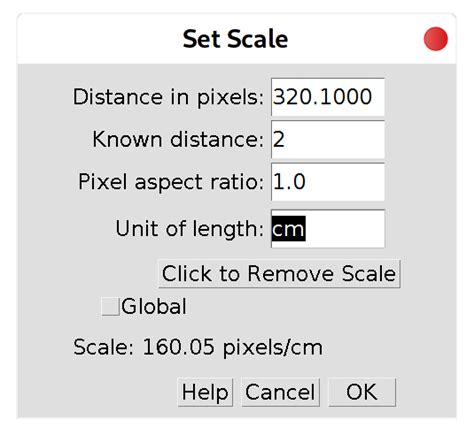 Add Scale Bar Using ImageJ Junli Zhang S Blog