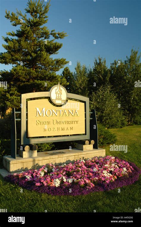 Ajd57026 Bozeman Mt Montana Montana State University Entrance Sign