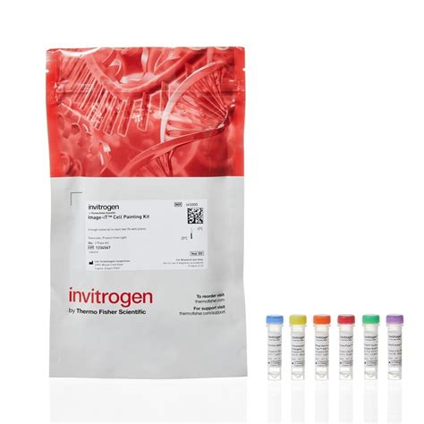 Invitrogen Image It Cell Painting Kit Biochemical Reagents Staining