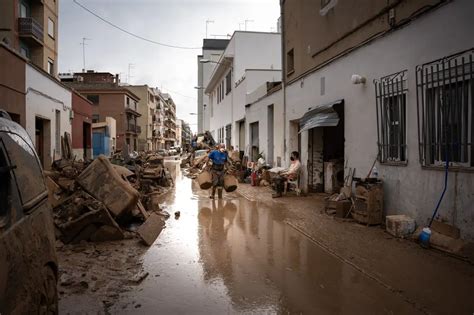 Qué es la leptospirosis Una amenaza invisible tras la DANA en Valencia