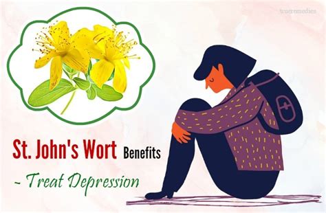 12 St. John's Wort Benefits For Health & Skin Care And Its Side Effects