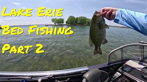 Fun Day Fishing For Smallmouth Bass Presque Isle Bay Lake Erie PA