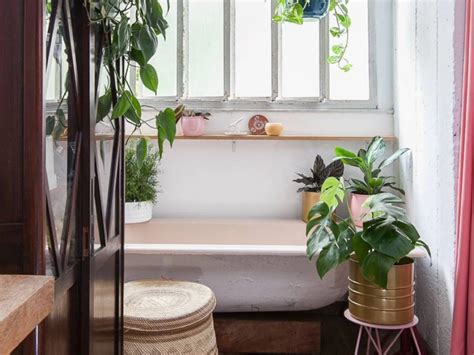 Plantas para Banheiro 35 Espécies para te Inspirar a Decorar