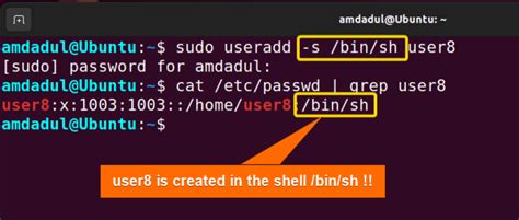 The Useradd Command In Linux Practical Examples