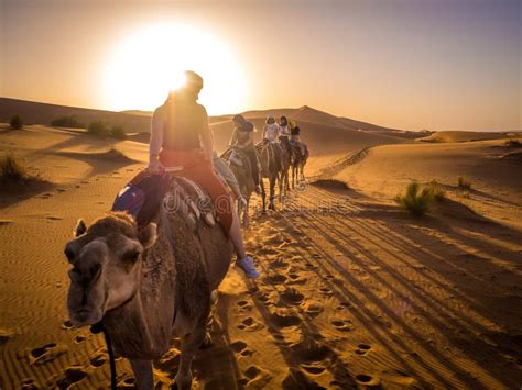 Une Caravane De Chameaux Au Sahara Photographie éditorial Image Du