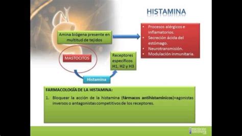 Nuevos antihistamínicos h1 no sedantes para aliviar alergias