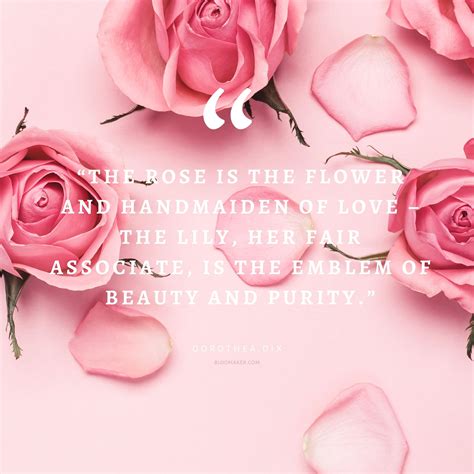Quotes About Beauty And Love