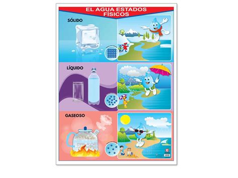 Póster El Agua Estados Físicos Educatodo