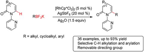 Rhodium III Catalyzed Site Selective CH Alkylation And Arylation Of