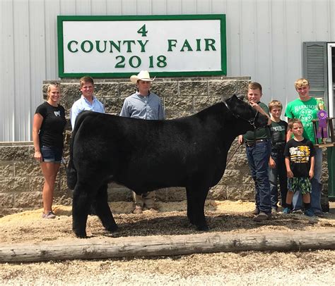 Rcc Blog Grand Champion Steer 4 County Fair Sired By Here I Am