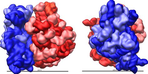 What Are Ribosomes Science Trends