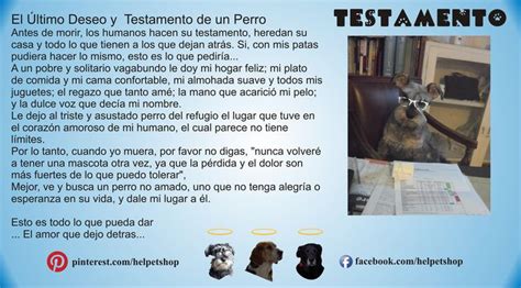 Petlovers Testamento De Un Perro Puente Del Arco Iris Testamento