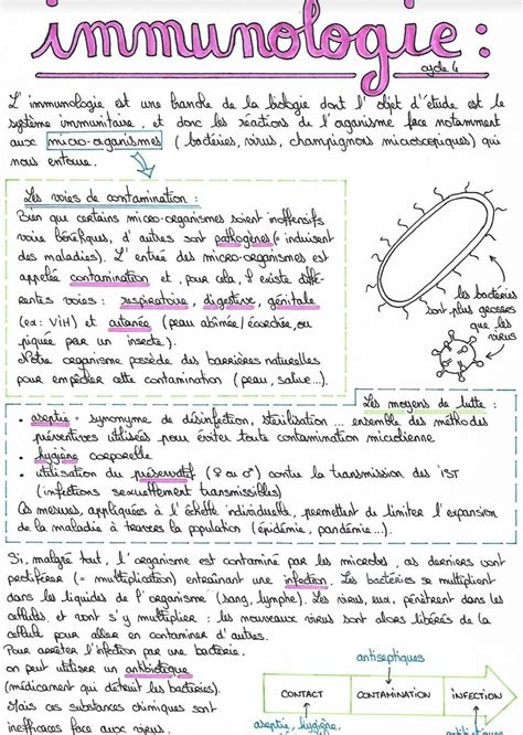 Fiche De R Vision Aesthetic Coll Ge Me Svt L Immunologie Medical