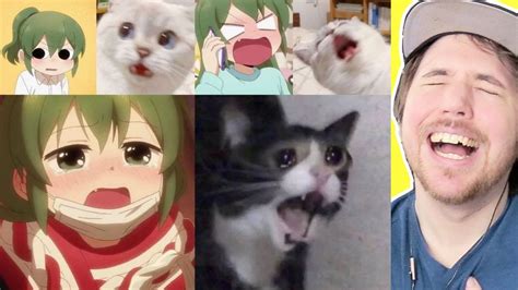 Aggregate more than 75 anime cat girl meme - in.coedo.com.vn