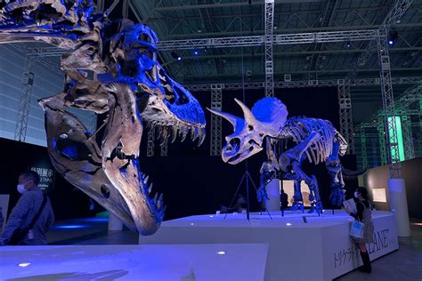 『dinoscience 恐竜科学博 2023』が今夏、六本木で開催決定！ の画像・写真 ぴあエンタメ情報