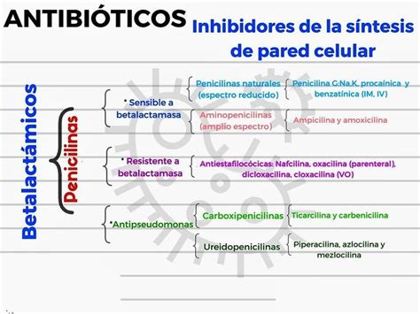 Antibi Ticos Betalact Micos Penicilinas Enfermer A Farmacolog A