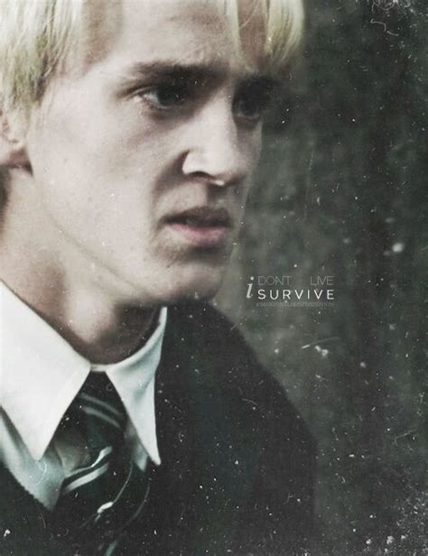 You Ruined Me Draco Malfoy Ff 36 Kapitel Wattpad