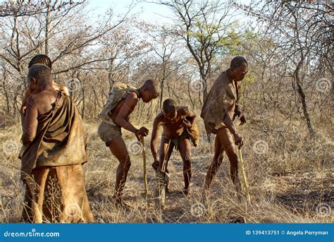 Khoisan people editorial photo. Image of tribe, bushveld - 139413751