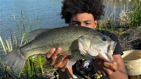 Topwater Fishing Showdown In Loaded Ponds Big Bass Youtube