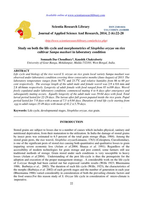 (PDF) Study on both the life cycle and morphometrics of Sitophilus oryzae on rice cultivar Sampa ...