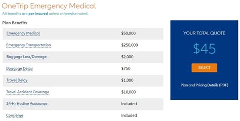 Allianz Travel Insurance Coverage Review Is It Worth It [2025]