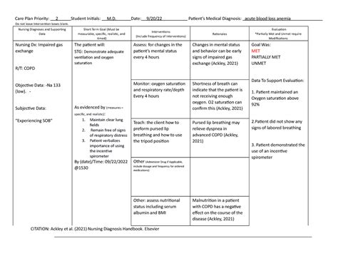 Care Plan Impaired Gas Exchange Care Plan Priority 2 Student