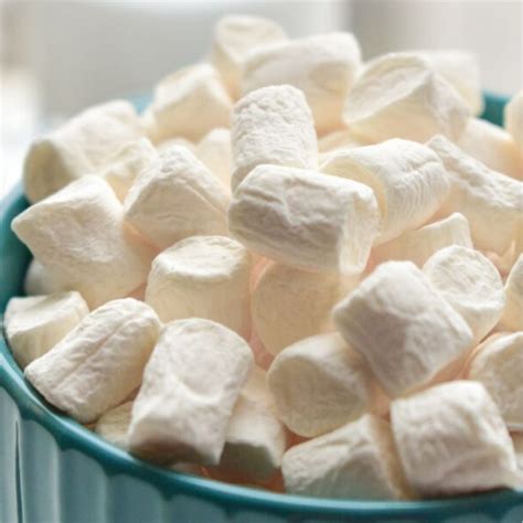 27 Easy Marshmallow Recipes Top Recipes