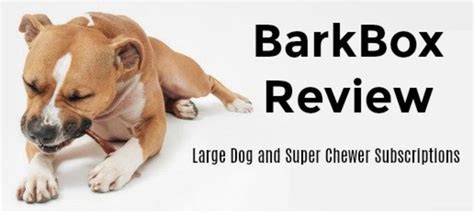 barkbox review classic  super chewer subscription box pethelpful